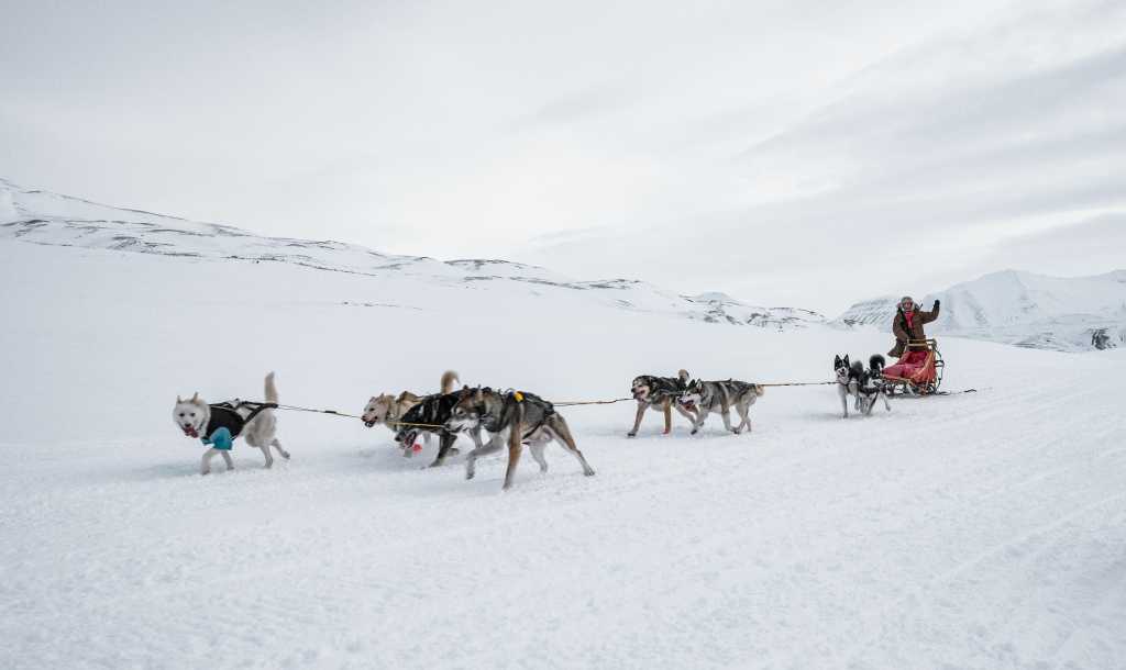 Sirius Dog Sled Patrol in Greenland - Harnessing Unleashed AI Agents